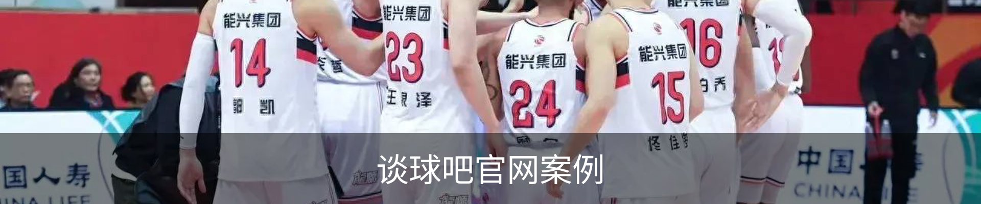 谈球吧官网案例